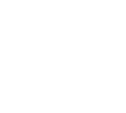 LOGO-INA-VT-BG-LIGHT
